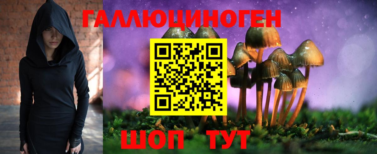 Белорецк  наркота  Вход с VPN  Псилоцибиновые грибы GOLDEN TEACHER 